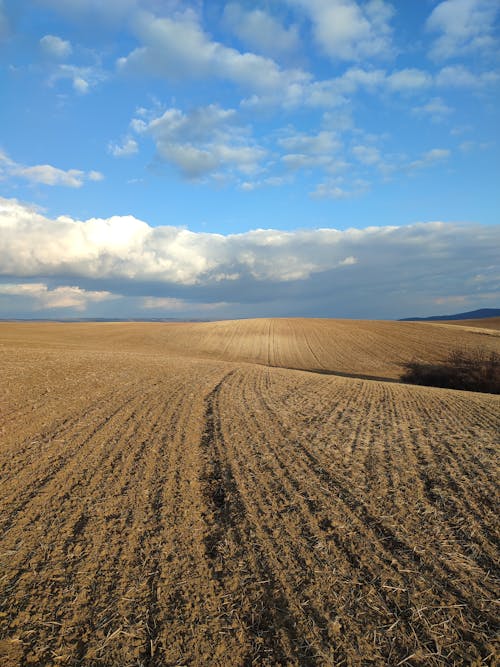 Darmowe zdjęcie z galerii z cichy, fotografia krajobrazowa, horyzont