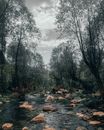 A Brook Between Green Trees