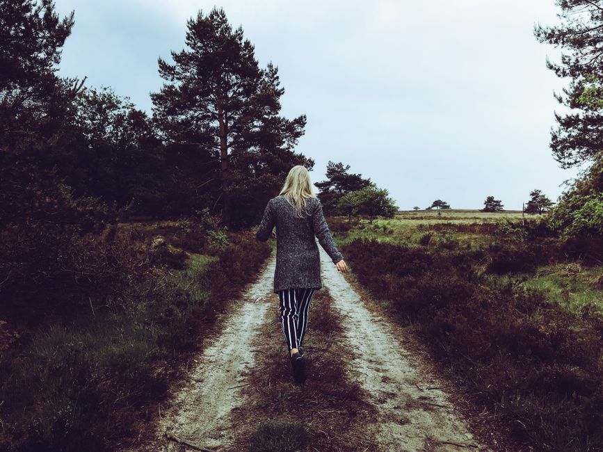 A woman with blond hair walks along a scenic forest trail in Uddel, Netherlands.