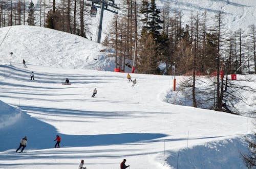 People Skiing on Snow Covered Ground