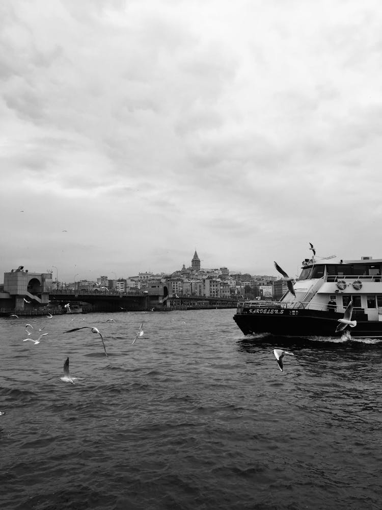 A Flying Birds On The Sea With Ferry Boat