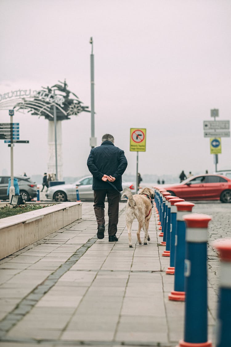 Old Man With Dog Walking On Street