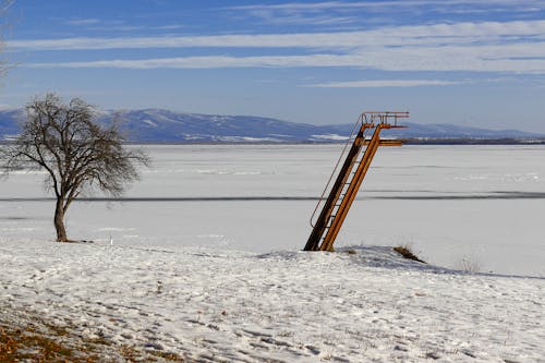 Steel Ladder on Snow Covered Ground Near a Frozen Body of Water