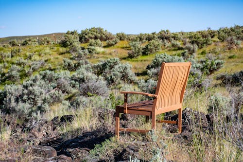 Brown Wooden Armchair on Green Grass