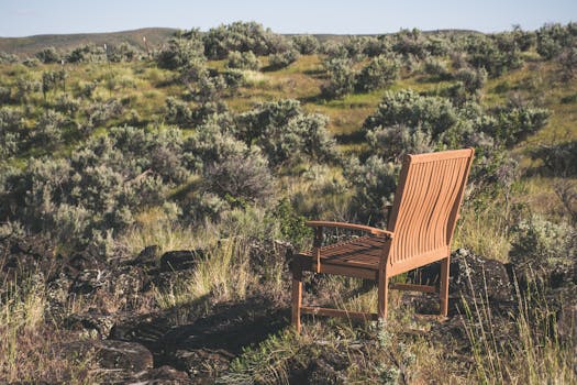 在爱达荷州博伊西的乡村，一把孤零零的木椅坐落在风景优美的自然景观中