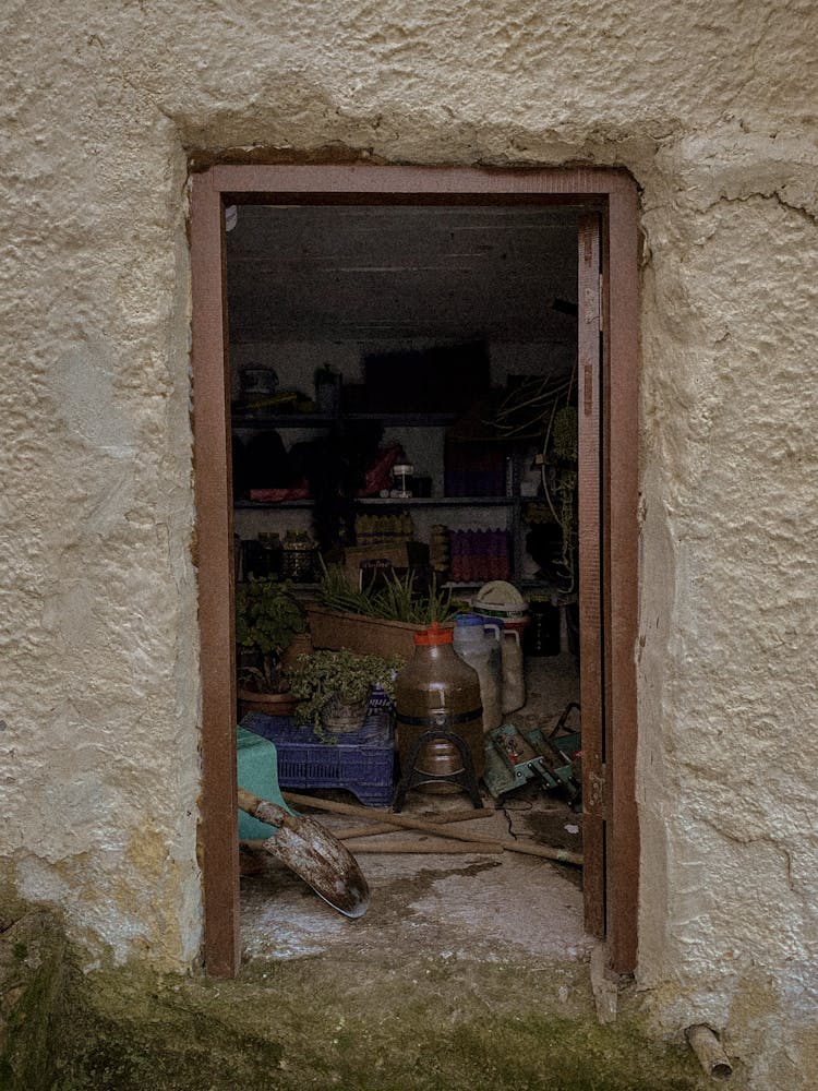 Houseplants In Shed