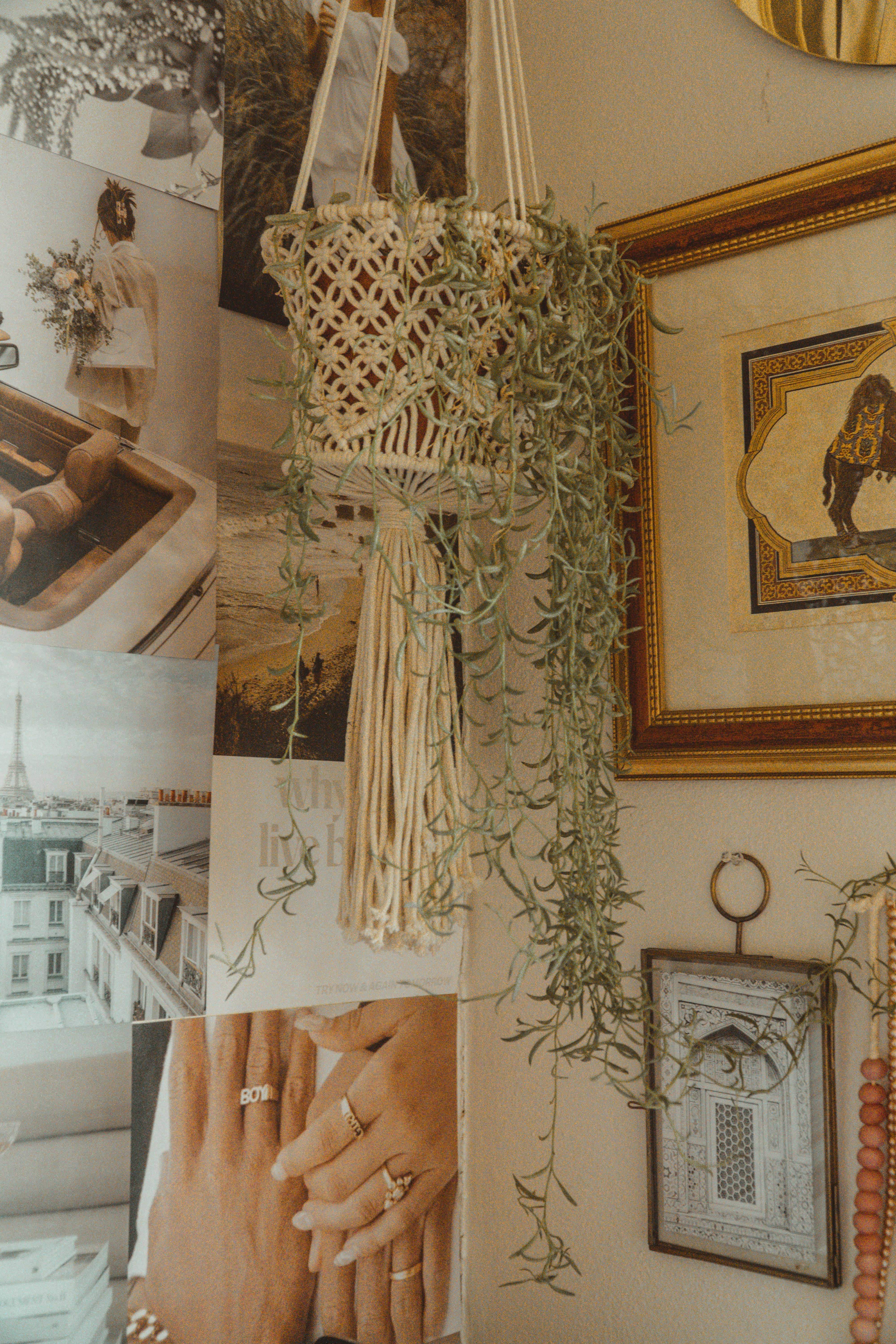 macrame plant hanger Fazit 2026