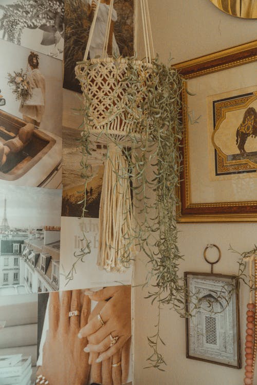 Crochet Plant Hanger Interior Decoration