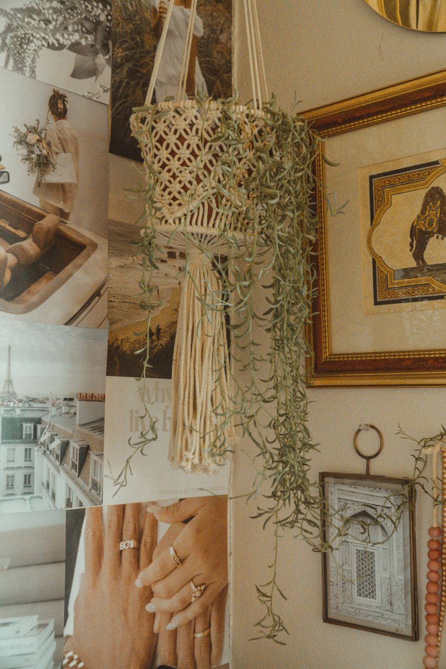 macrame plant hanger Fazit 2026