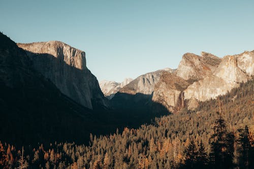 Kostenloses Stock Foto zu bäume, berg, klarer himmel