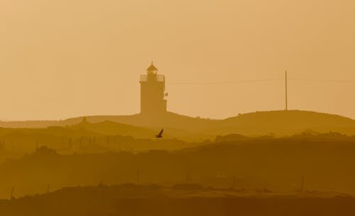 Silhouette of a Bird Flying Near a Lighthouse during Sunset
