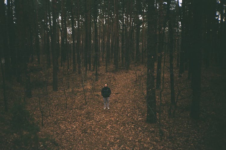 An Aerial Photography Of A Man In Black Jacket Standing In The Middle Of The Forest