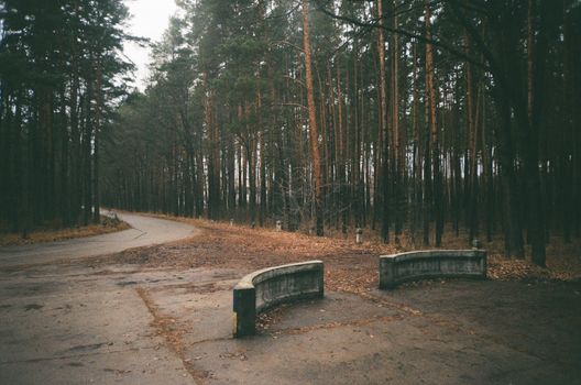 A Pair of Concrete Benches Near Green Trees