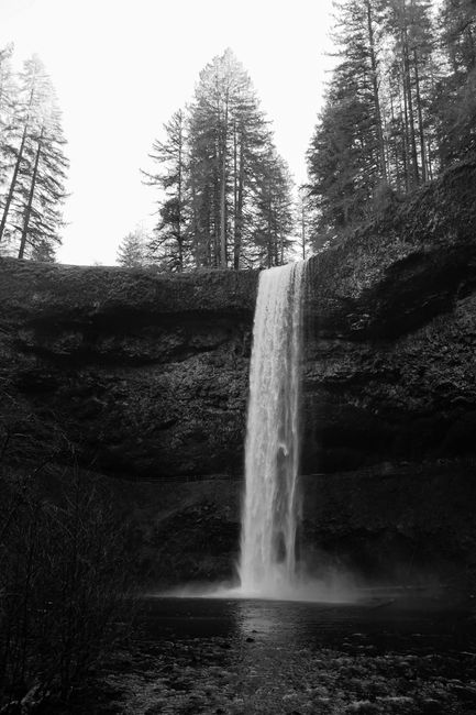 Stunning black and white photo of a waterfall cascading in an Oregon forest.