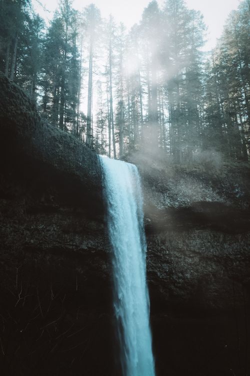 Free A stunning waterfall cascading through a lush forest in Oregon, capturing the essence of nature's beauty. Stock Photo