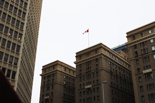 grátis Foto profissional grátis de arquitetura, bandeira canadense, calgary Foto profissional