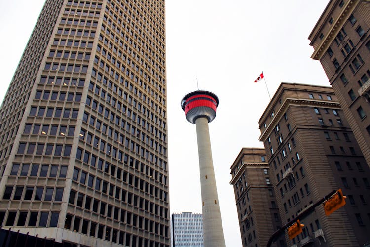 A Low Angle Shot Of Calgary Tower Between City Buildings