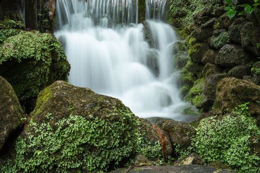 Serene waterfall cascading over rocks covered with lush green moss in a forest setting.