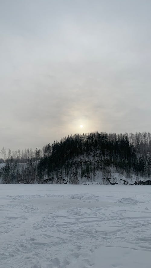 Photos gratuites de arbres, campagne, ciel nuageux