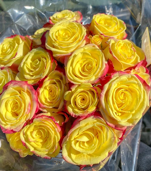 Безкоштовне стокове фото на тему «букет квітів, красиві квіти, троянди»