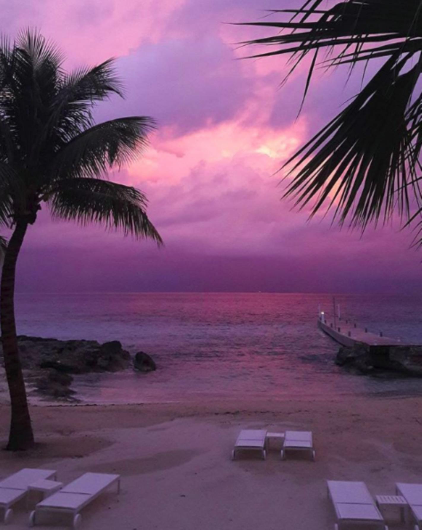 ヤシの木 夜明け 海の無料の写真素材 ヤシの木 夜明け 海の無料の写真素材