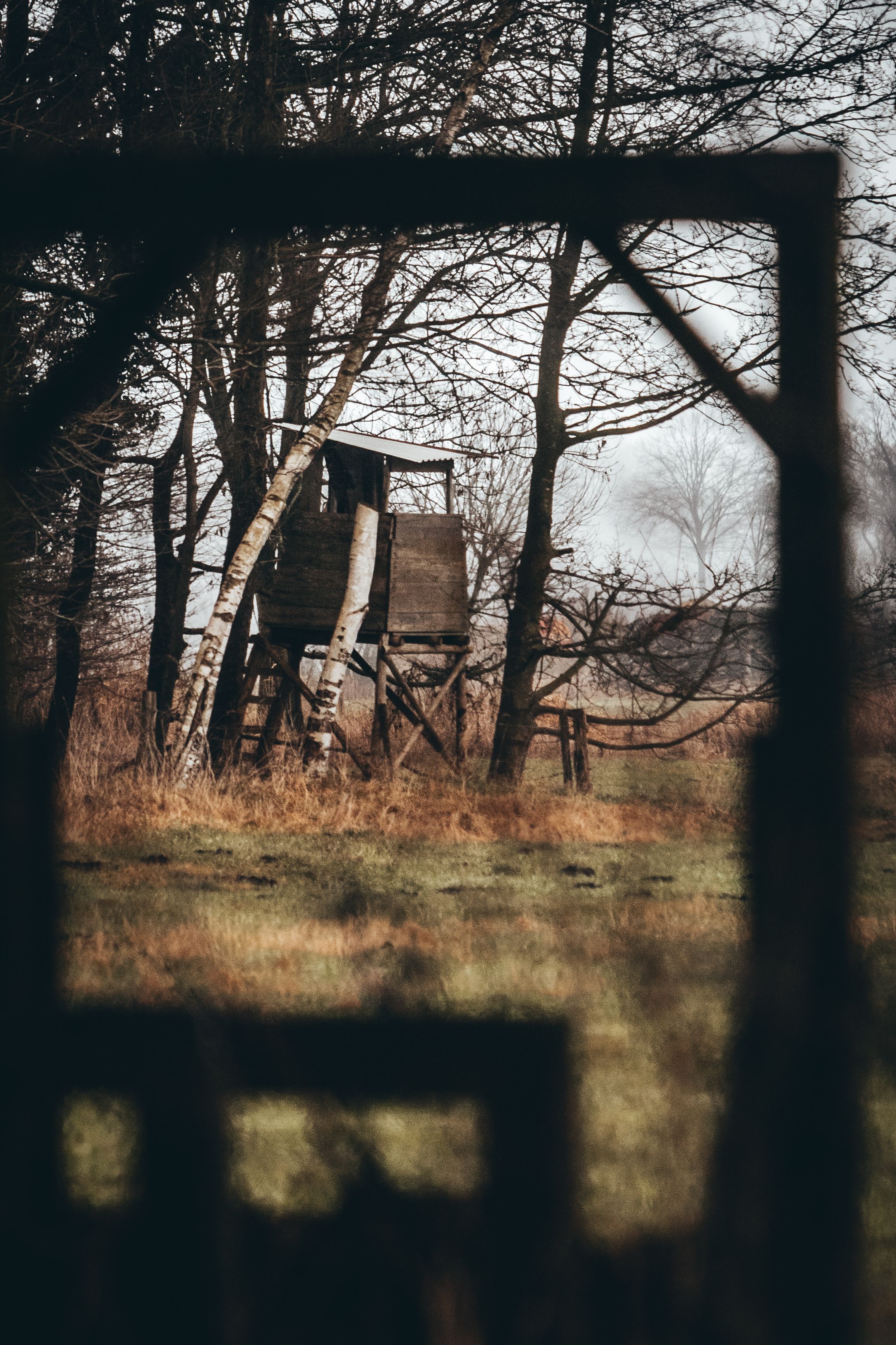 A Wooden Tree House on Grass Field · Free Stock Photo