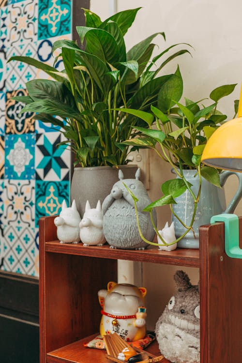 Potted Green Plants and Figurines on a Wooden Shelf