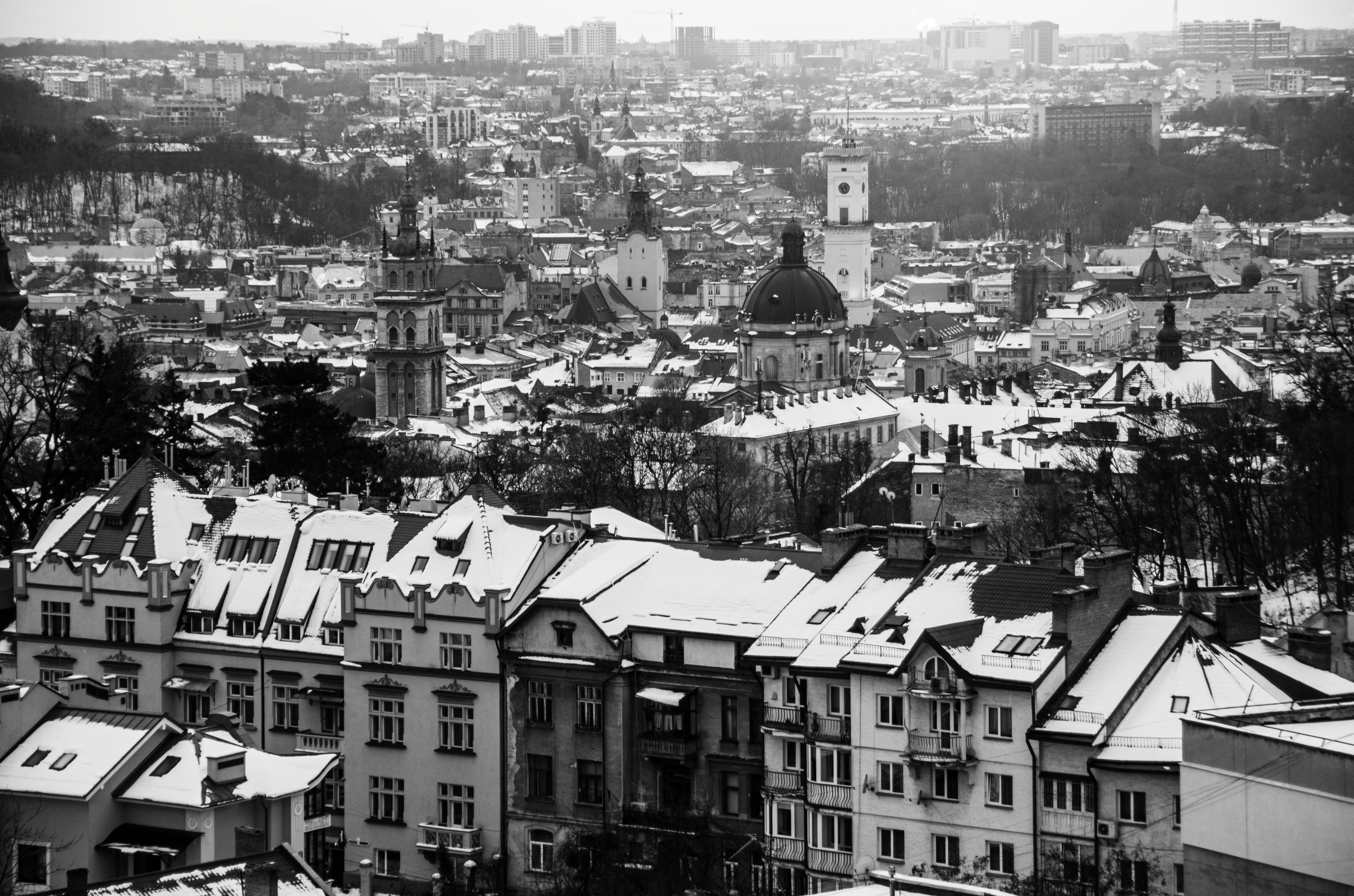 grayscale photo of city buildings