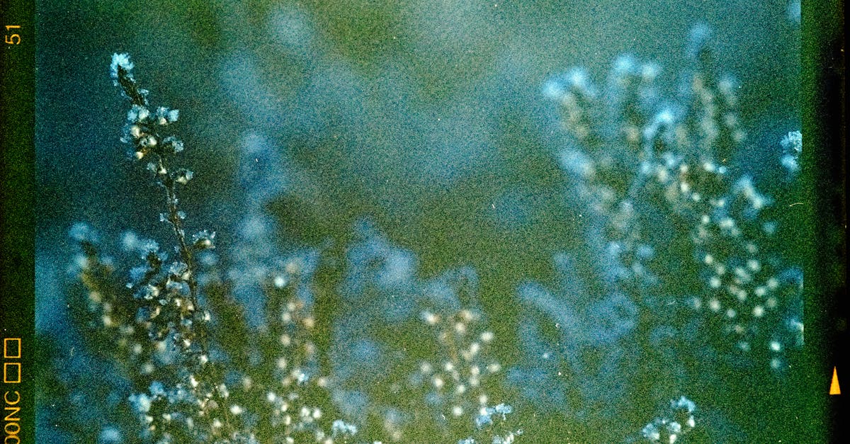 How to make hydro dipping film