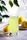 lemon juice