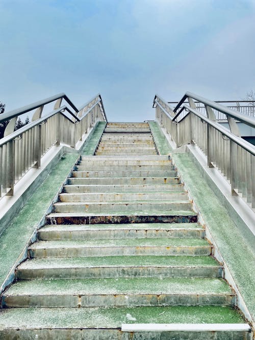 A Low Angle Shot of a Stairs with Handrails