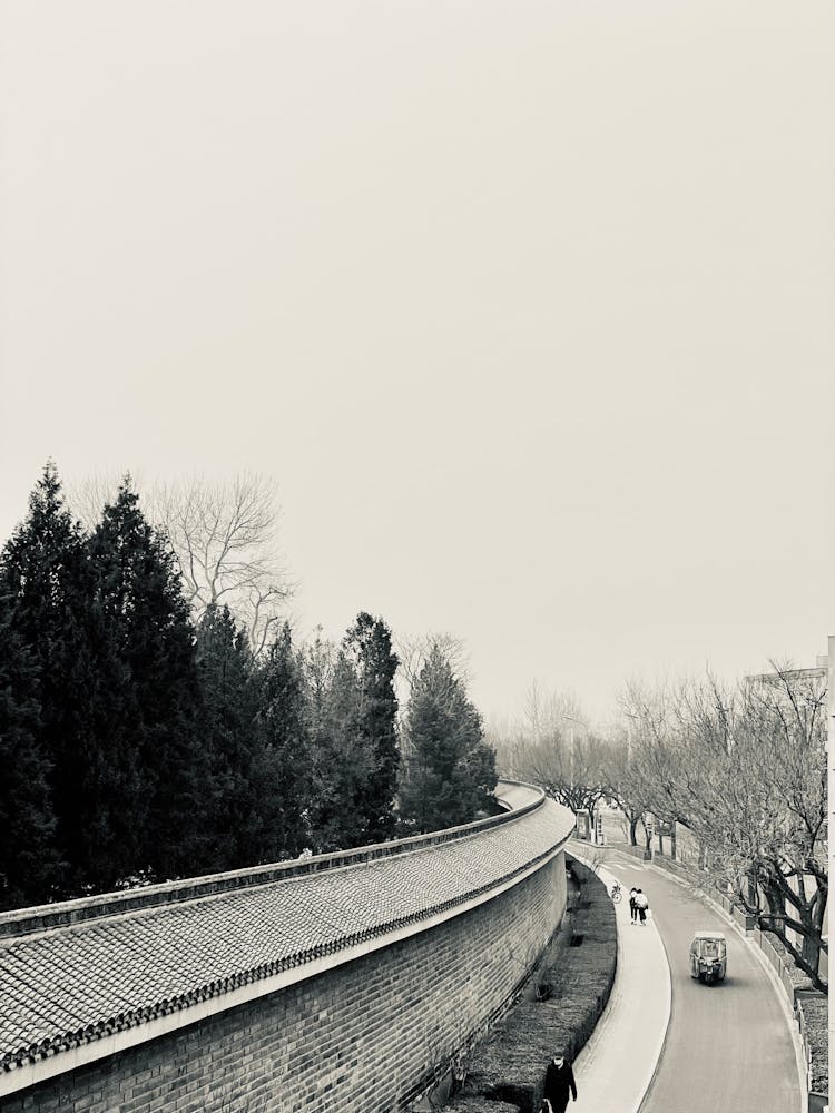 Sepia Toned Image Of An Alley With Trees And Surrounding Wall