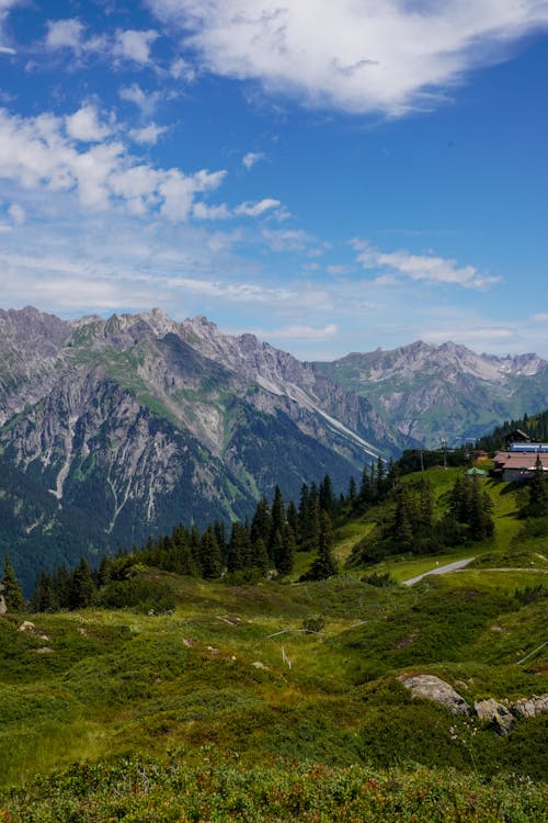 A Green Trees on Mountain Under the Blue Sky