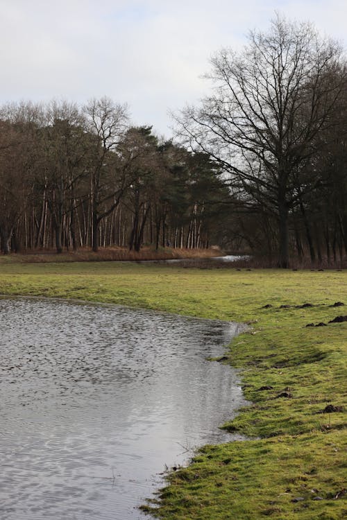 Free A Green Grass Field Near the River Stock Photo