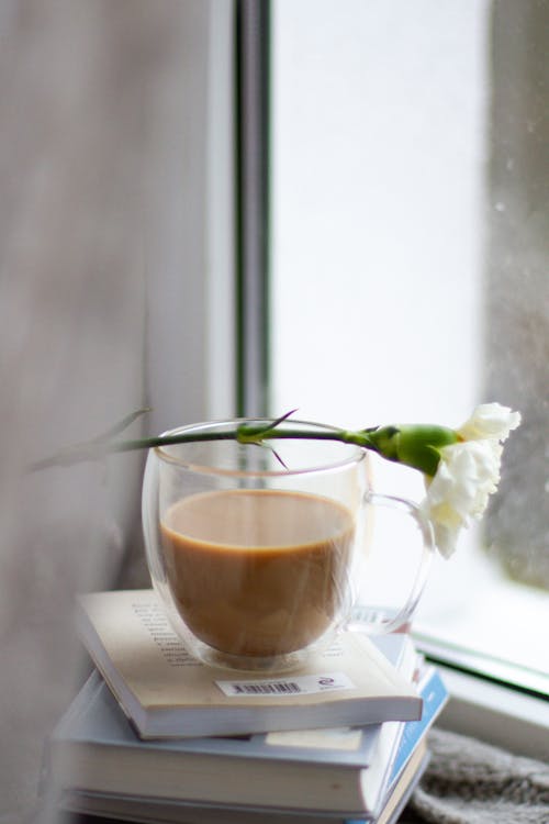 Základová fotografie zdarma na téma bílá květina, káva, nápoj