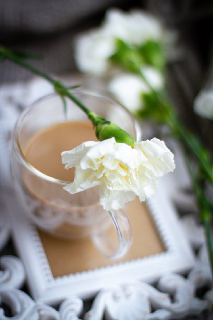 A White Flower On A Clear Glass Cup With Coffee