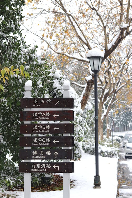 Photos gratuites de campus, Chinois, hiver