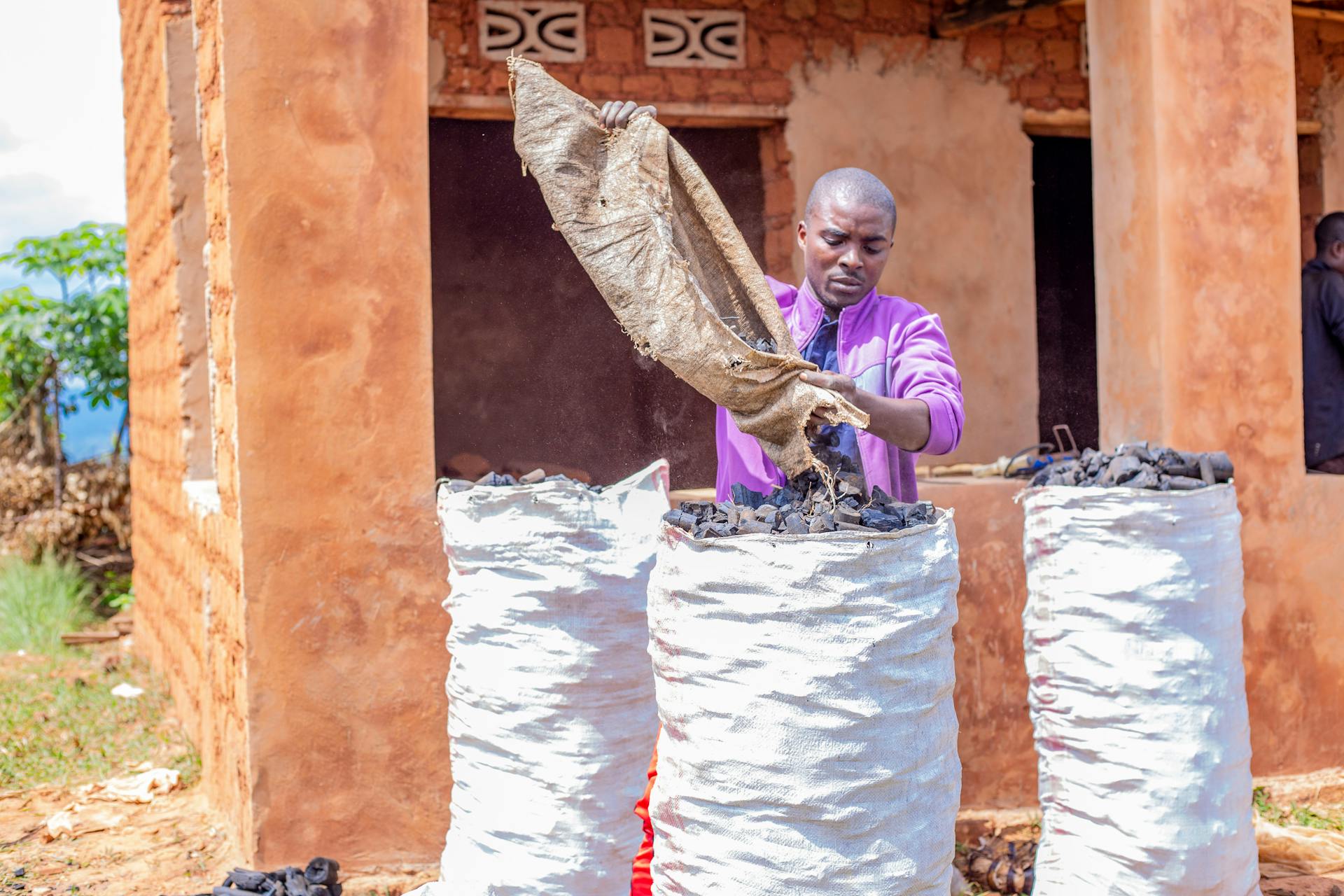 A man diligently fills sacks with coal in a rural, outdoor setting on a sunny day.