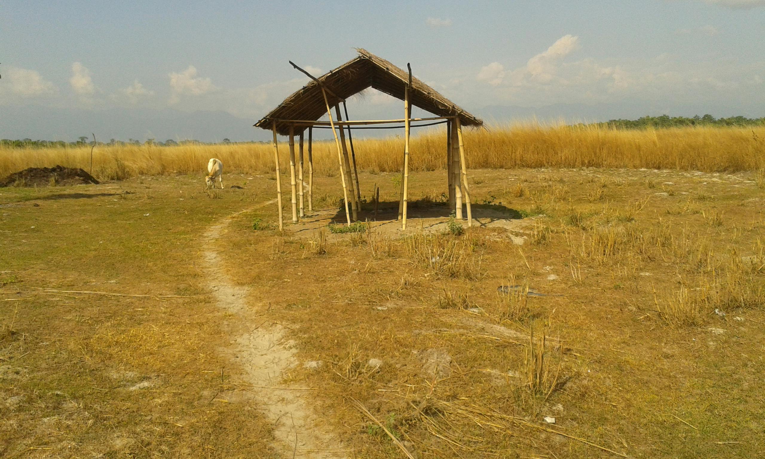 Free stock photo of small hut