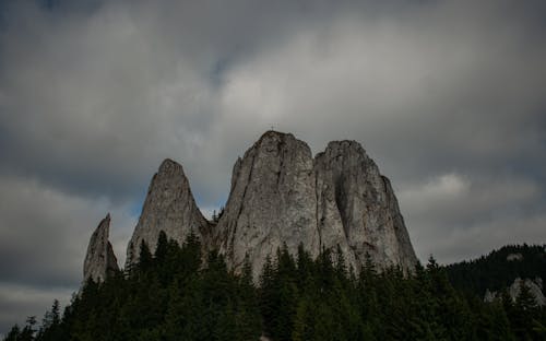 Kostenloses Stock Foto zu aufnahme von unten, bedeckt, berg