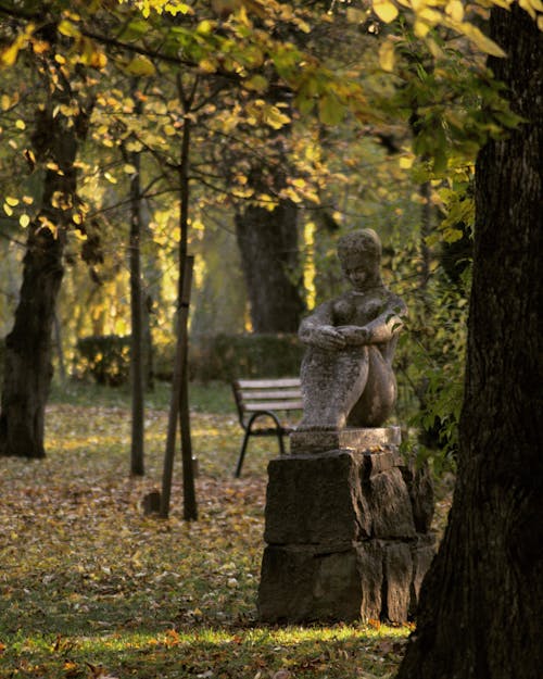 가을, 공원, 동상의 무료 스톡 사진
