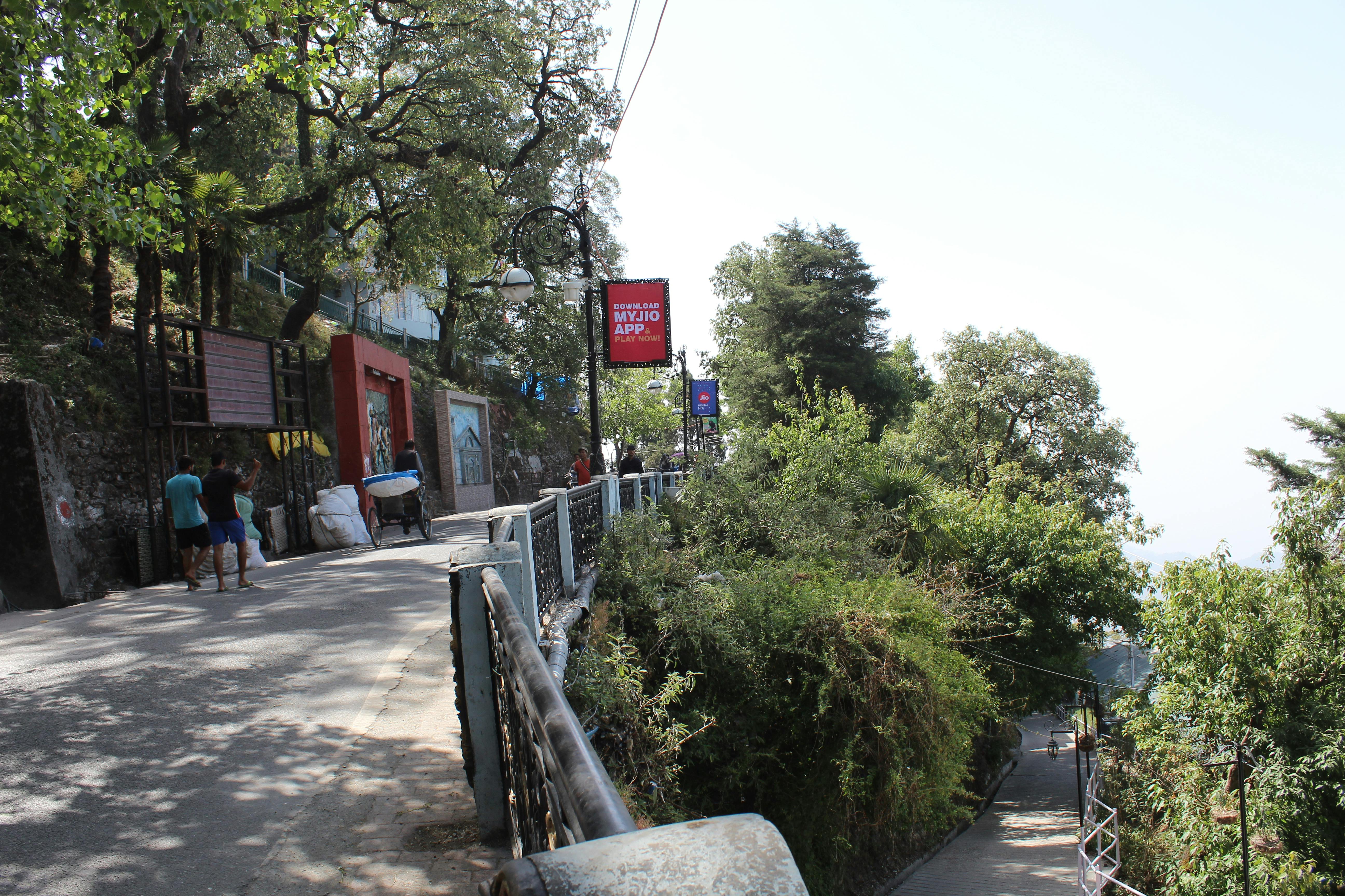 Free stock photo of Mall Road Mussoorie, road, tree