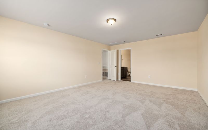 Carpet