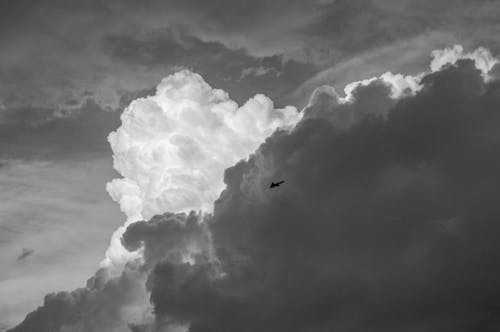 Imagine de stoc gratuită din alb-negru, cer cu nori, monocolor
