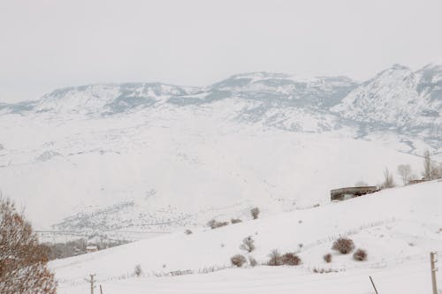 Foto profissional grátis de cenário, com frio, inverno