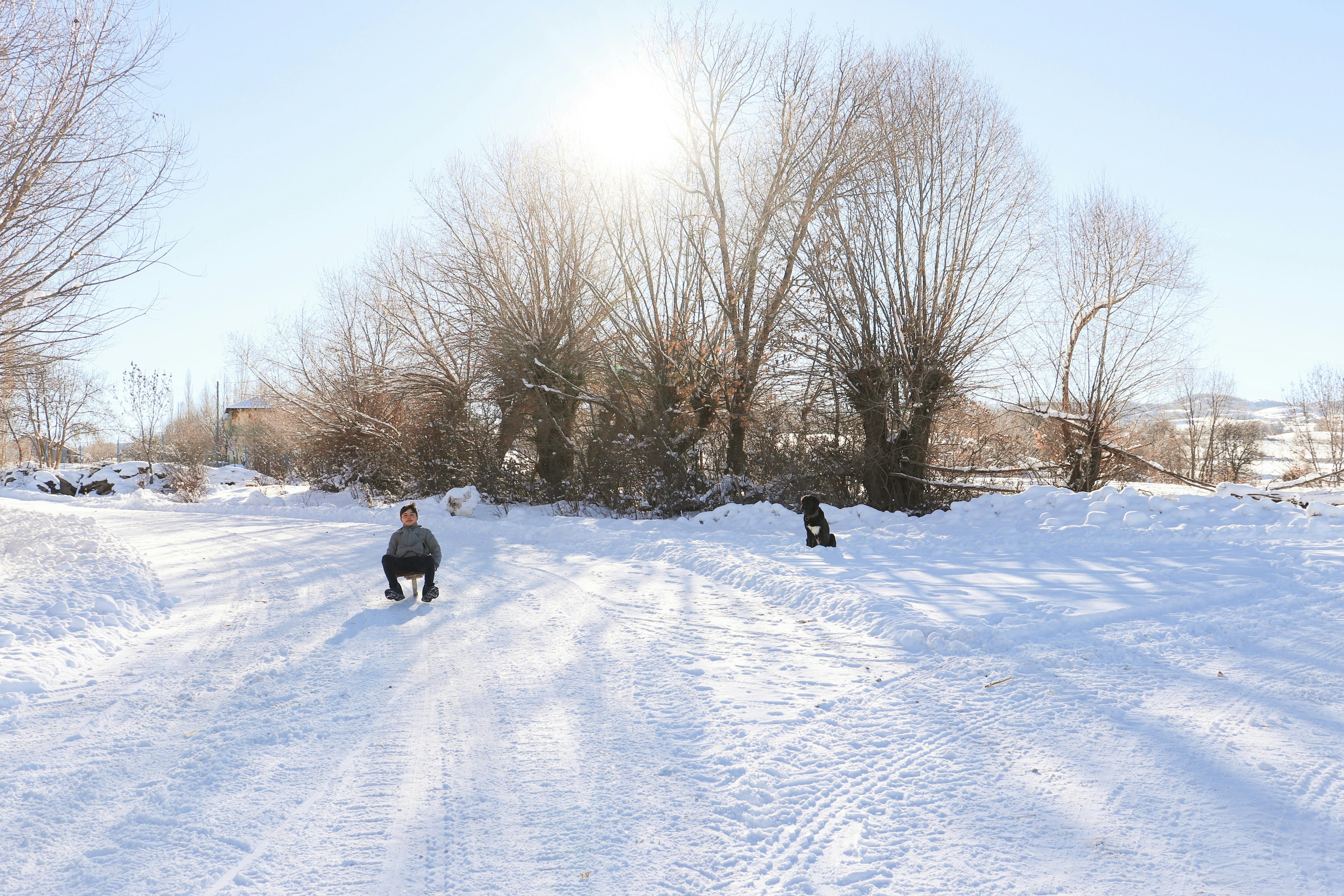 Child Enjoying a Sled Ride with a Dog Watching