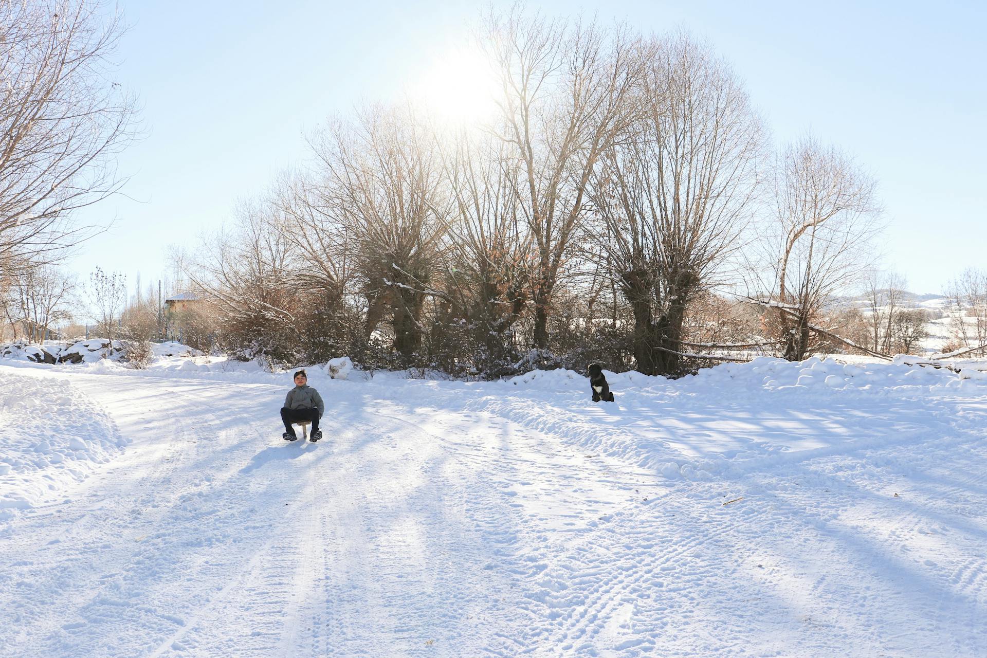 Child Enjoying a Sled Ride with a Dog Watching