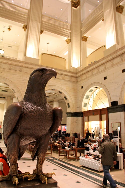 Foto d'estoc gratuïta de botiga del departament de la ciutat, estàtua d'àguila, macys