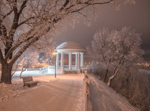免费 光, 公園, 冬季 的 免费素材图片 素材图片