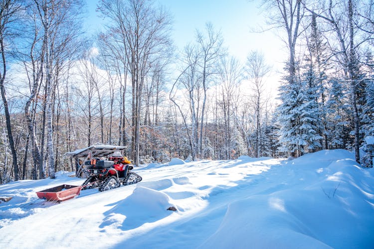 An ATV With Snow Tracks In The Woods During Winter